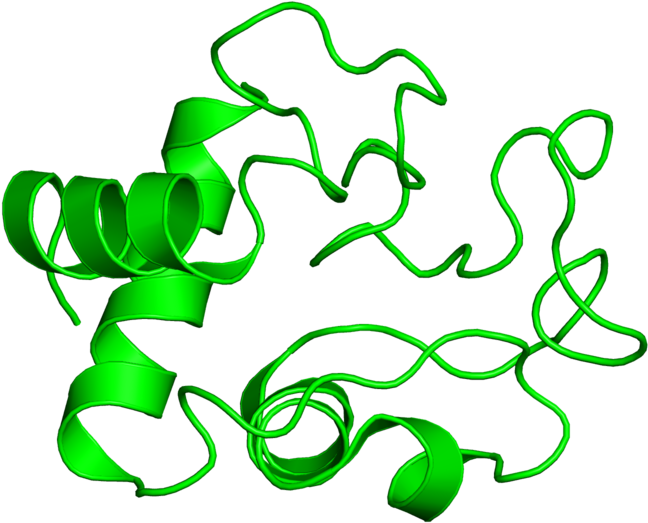 <div Class='caption-body'>1 Copy Of Scop Domain < - Graphic Design (800x800)