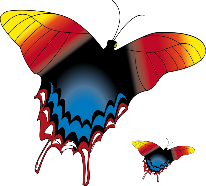 All Photo Png Clipart - Illustration (830x750)