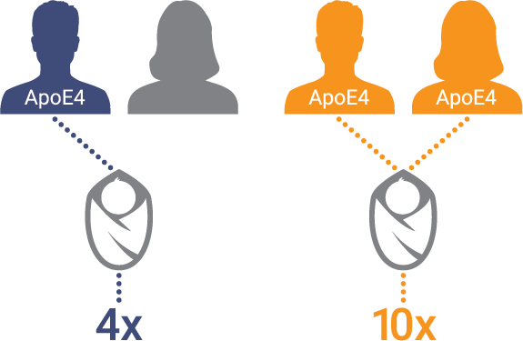 Inheriting The Apoe-4 Allele From Both Parents Greatly - Inheriting The Apoe-4 Allele From Both Parents Greatly (575x375)
