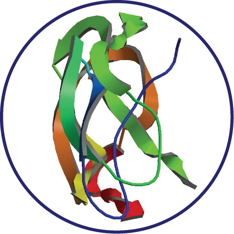 Amyloid Precursor Protein - Amyloid Precursor Protein (475x475)