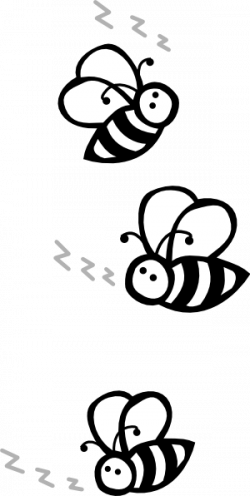 Black And White Shrimp Clipart 104691 15 Buzz Clip - Buzzing Bee Clipart Black And White (250x496)