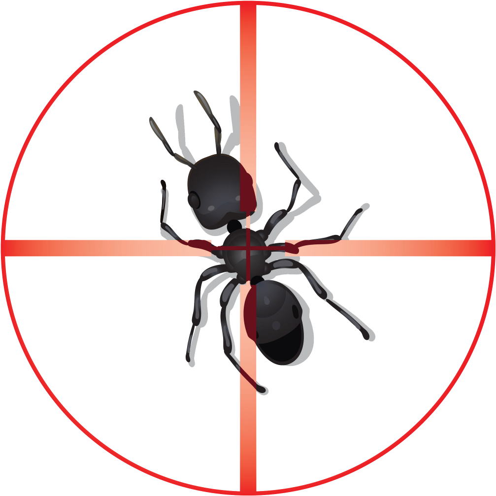 1024 X 1024 1 - Ant (1024x1024)