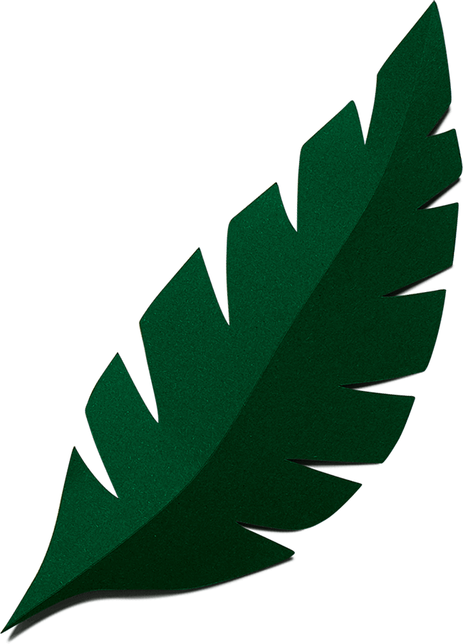 We're Not Like Other Yogurts - Illustration (650x904)