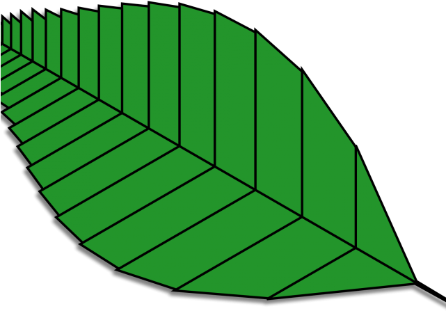 Leaf Clipart Rose - Leaf Clipart Rose (640x480)