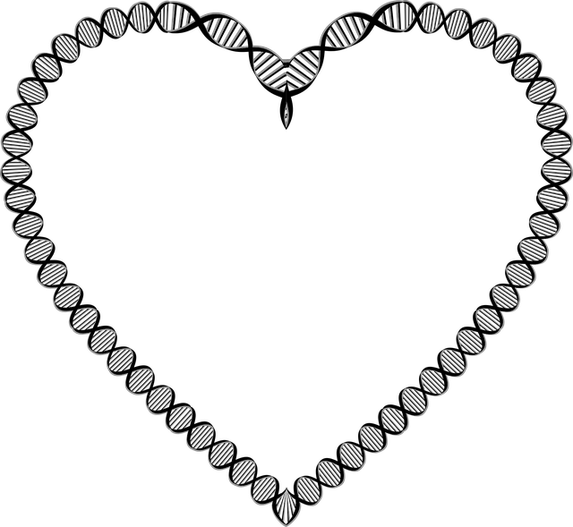 The Love Gene - Dna Helix Heart (640x589)