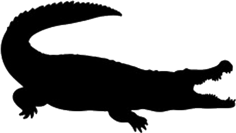 500 X 500 10 - Silhouette Clip Art Alligator Svg (500x500)