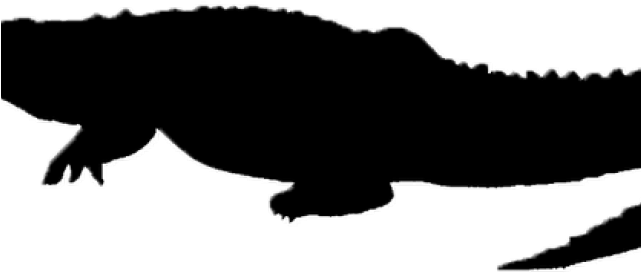 Crocodile Clipart Silhouette - Crocodile Silhouette Clip Art (640x480)