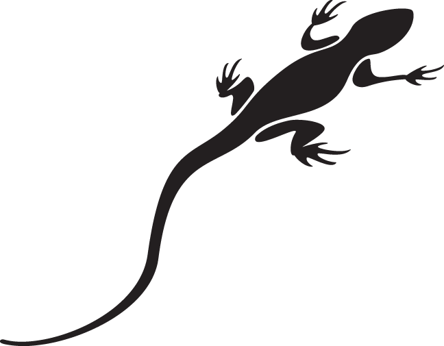 Lizard Silhouette No Background (648x505)