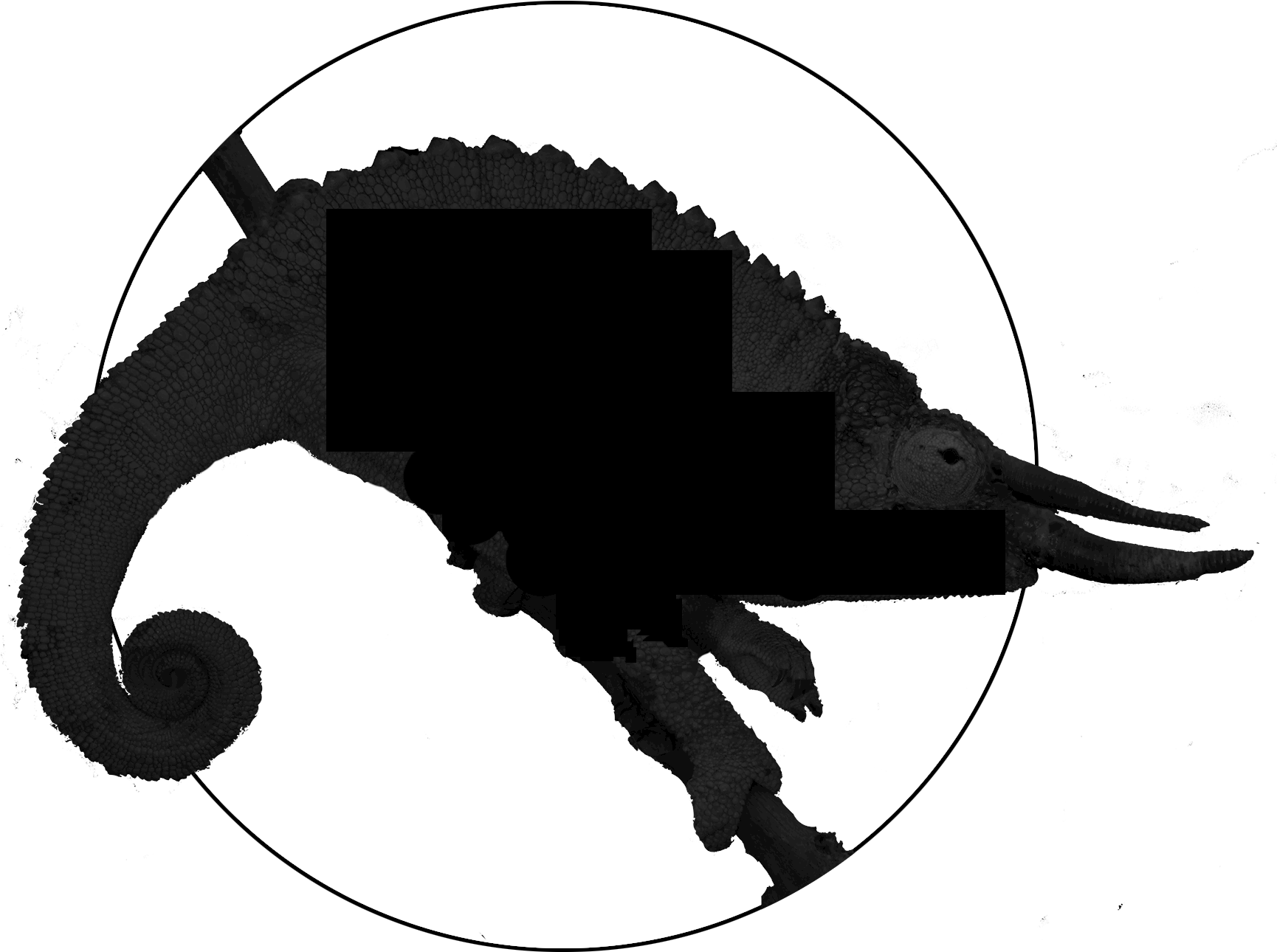 1738 X 1738 3 0 - Jackson Chameleon Silhouette (1738x1738)