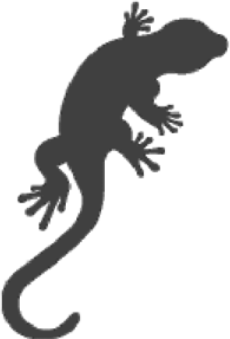 Gecko Lizard - Lizard Silhouette (500x500)