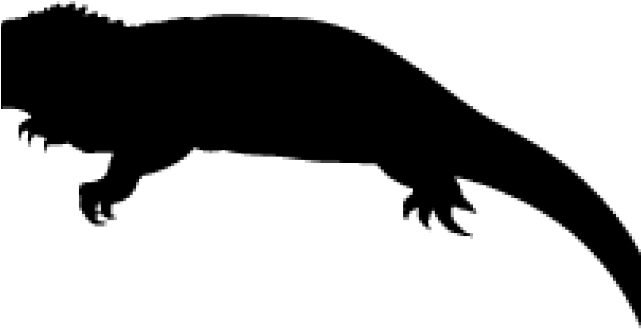 Iguana Clipart Silhouette - Punxsutawney Phil (640x480)