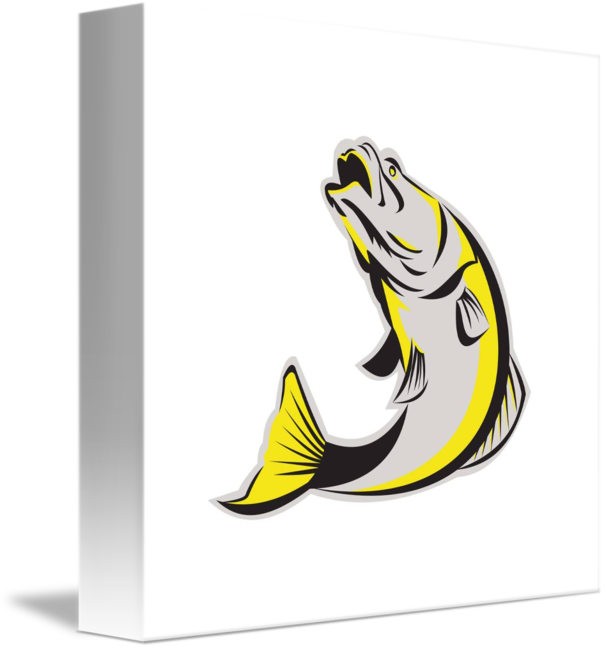 Barramundi Fish Jumping Up Isolated Retro By Aloysius - Illustration (606x650)