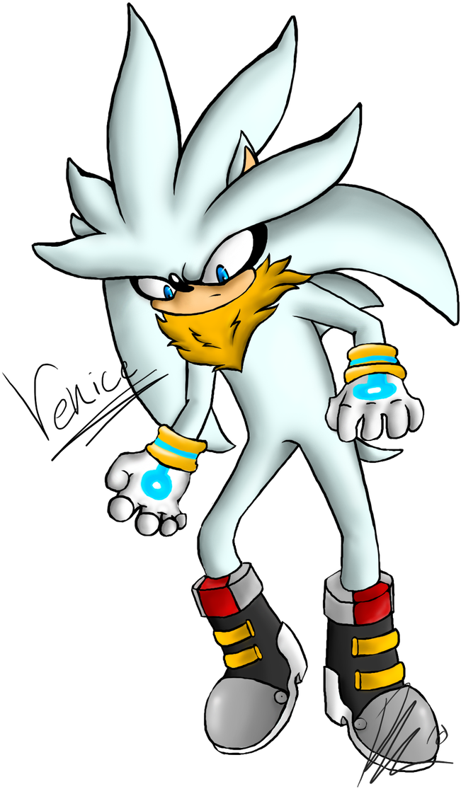 Venice The Hedgehog By Blackwolf5505 - Cartoon (711x1125)