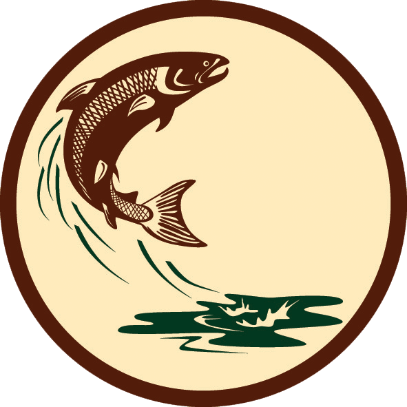 John Hoeko Archives Spillian Gallery Ⓒ - Salmon Fish Jumping (591x591)