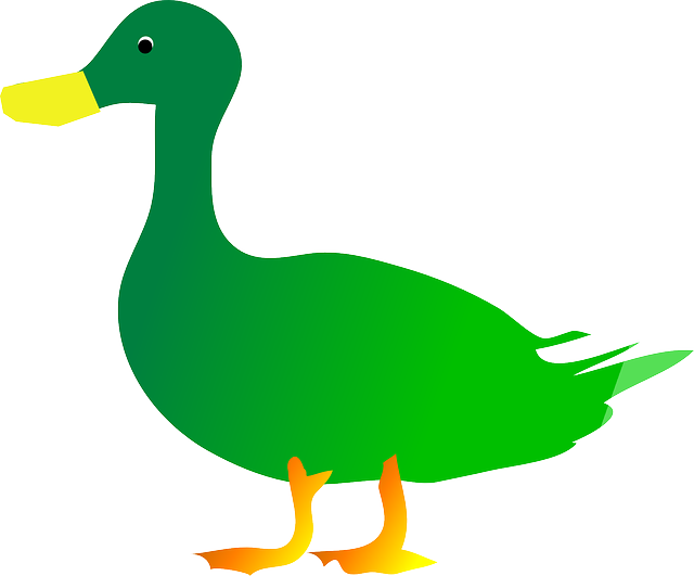 Divá Kačka - Green Duck Clipart (640x531)