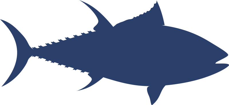 14 - Billfish (800x368)