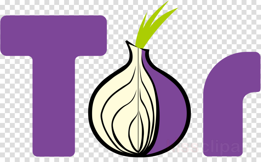 Darknet Onion Clipart Tor - Darknet Onion Clipart Tor (900x560)