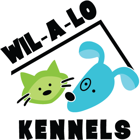 456 X 464 4 - 456 X 464 4 (456x464)