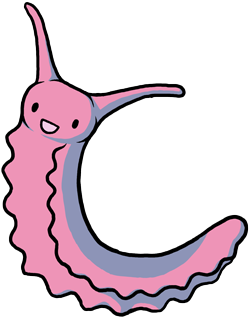 450 X 450 7 - Pink Velvet Worm (450x450)