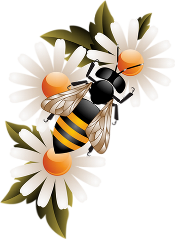 Honey Bee On Flower Png (345x470)