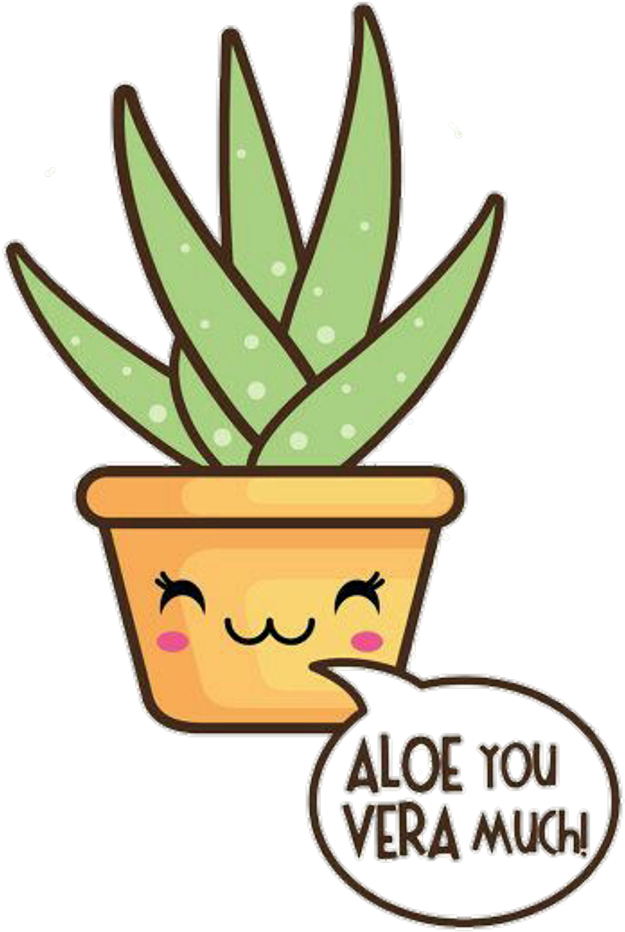 #aloevera #kawaii #plant #cute U Guys Reeeealy Liked - Cute Aloe Vera Plant (1024x1060)