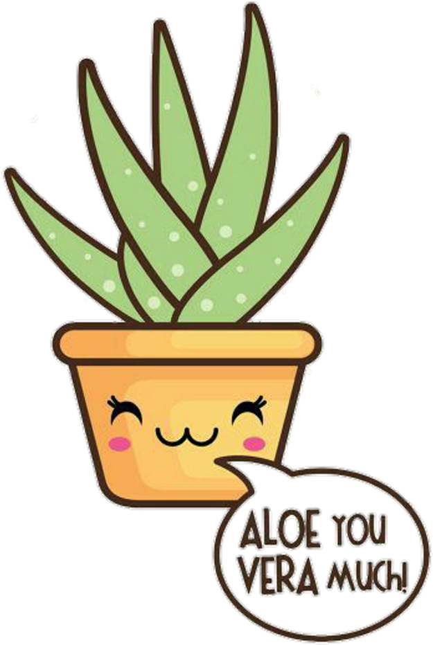 aloevera #kawaii #plant #cute U Guys Reeeealy Liked - Cute Aloe Vera Plant - (1024x1060) Png Clipart Download aloevera #kawaii #plant #cute U Guys Reeeealy Liked - Cute Aloe Vera Plant - (1024x1060) Png Clipart Download