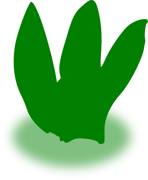 Aloe Vera Clip Art - Illustration (492x596)