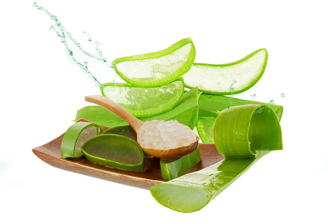 Download Aloe Png Photos - Aloe Vera Gel Png (1152x864)