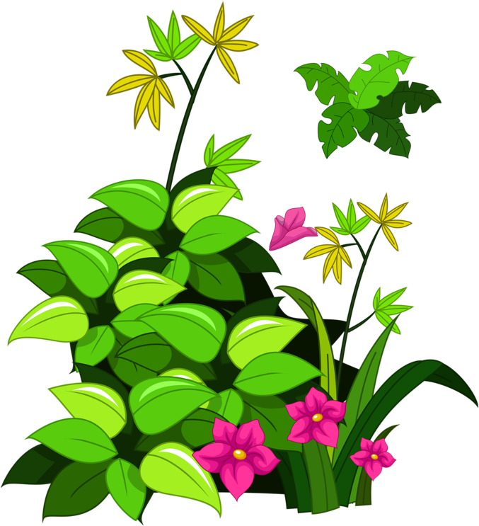 Фото, Автор Soloveika На Яндекс - Rosa Glauca (718x800)