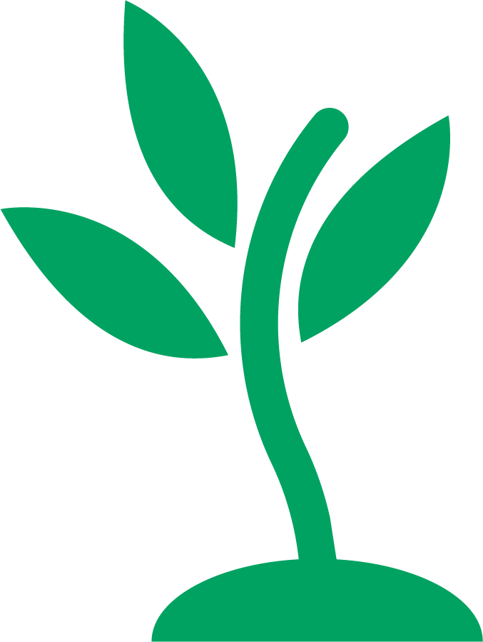 Seedling Clipart - Mennonite Church Usa (677x899)