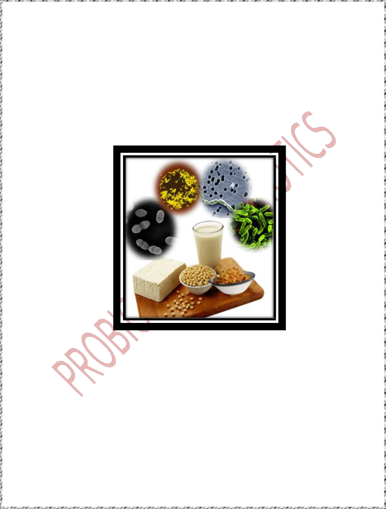 Bacteria On Food (753x993)