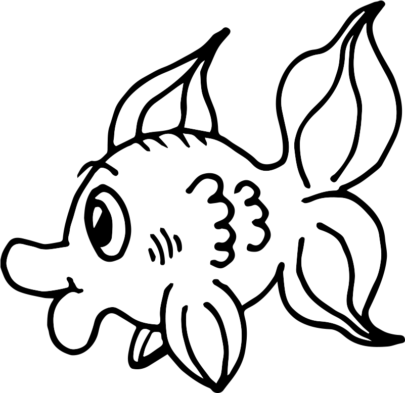 Free Fish Line Art By Memimouse On - Line Art (800x800)