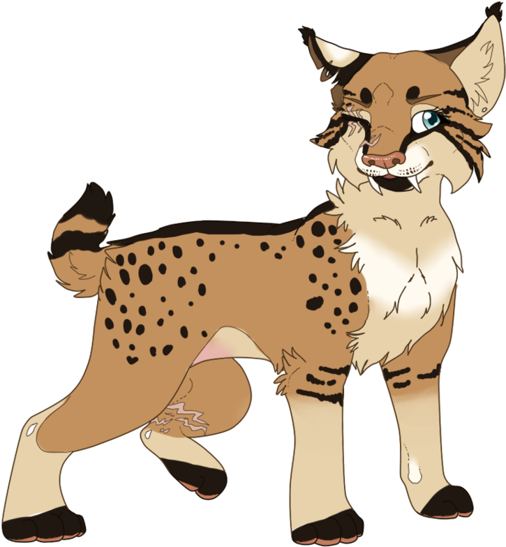 Daggerpaw Is A Large She Cat - Anime Bobcat (894x894)