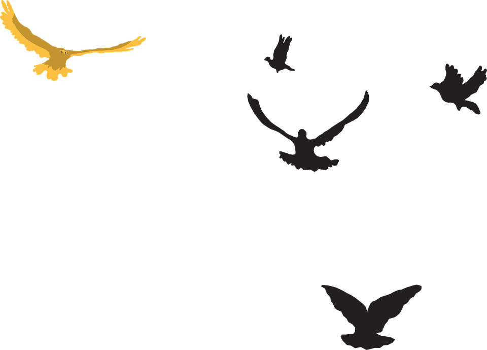 Yellow Black Birds - Birds On The Sky Png (960x689)