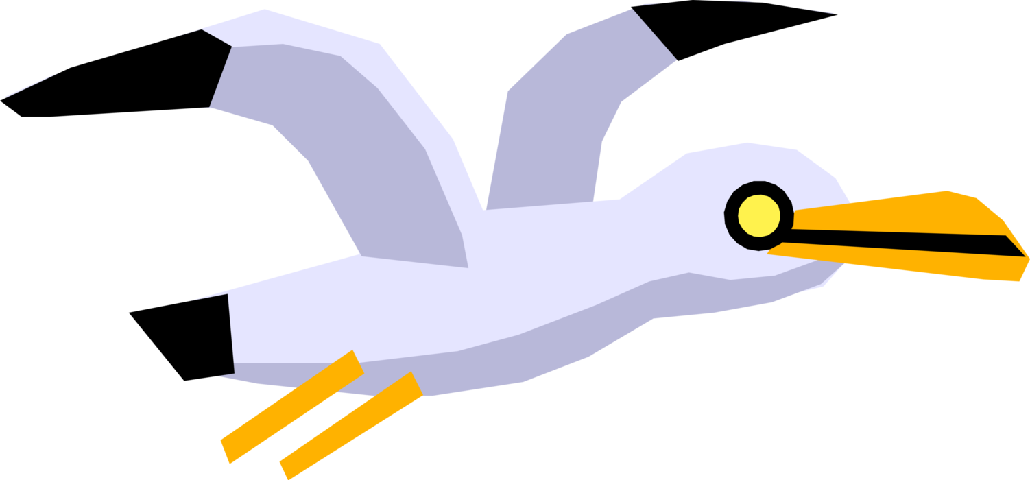 Vector Illustration Of Cartoon Feathered Vertebrate - Vector Illustration Of Cartoon Feathered Vertebrate (1502x700)