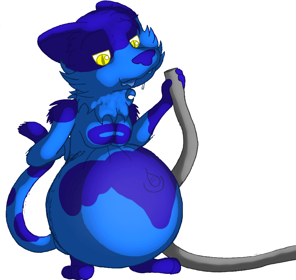 Blueberry Cat - Cartoon (962x1000)