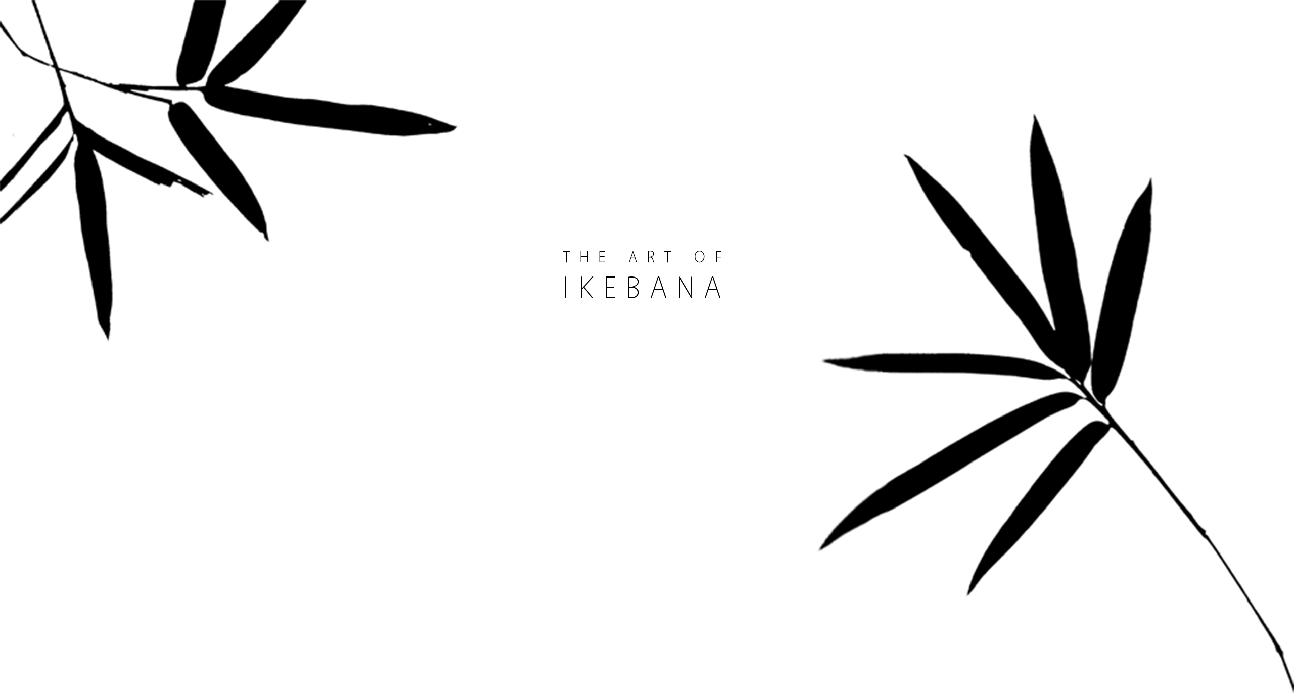 Ikebana Is Known As The Japanese Art Form Of Flower - Ikebana Is Known As The Japanese Art Form Of Flower (2560x1371)