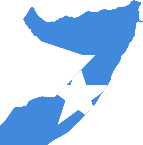 Somali Journalists Congratulate The Election Of The - Somalia Flag Map (457x462)