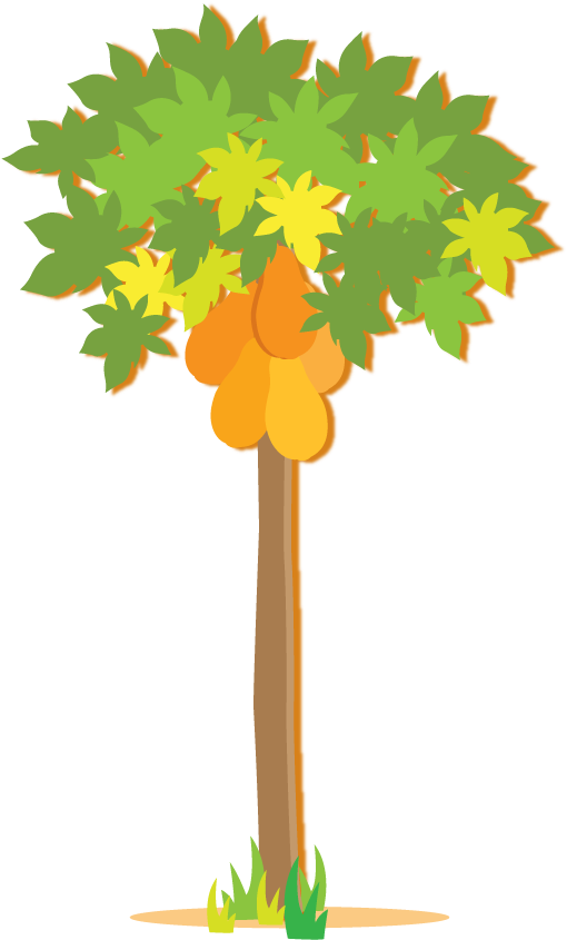 570 X 895 6 - 570 X 895 6 (570x895)