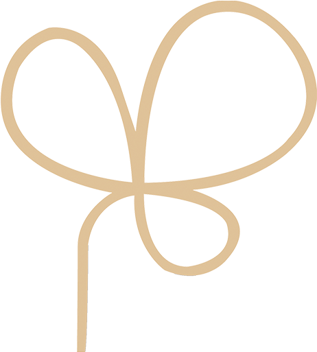 Crumbs Blog - Crumbs Bake Shop (512x512)