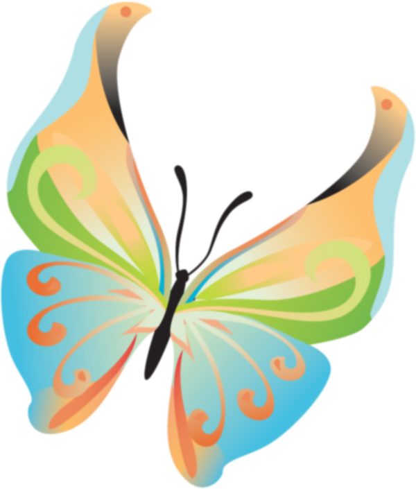 Image Du Blog Zezete2 - Lepidoptera (600x705)