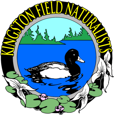 Kfn Logo - Irish Motorcycle Club (388x395)