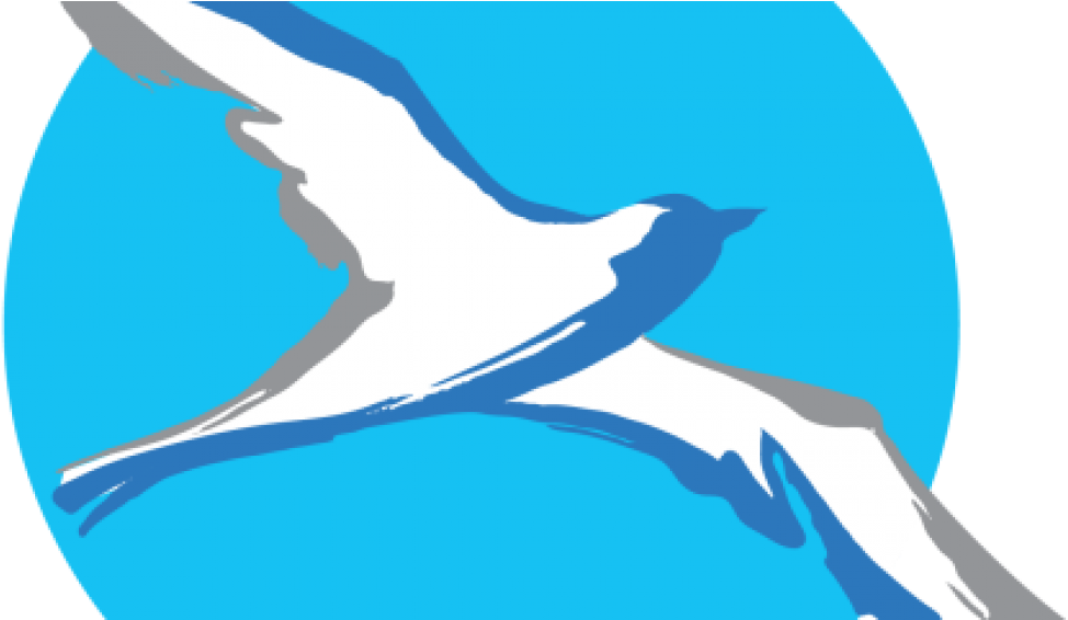 Second Meeting Of Advisory Committee For Cpef Wallacea - Burung Indonesia (1200x565)