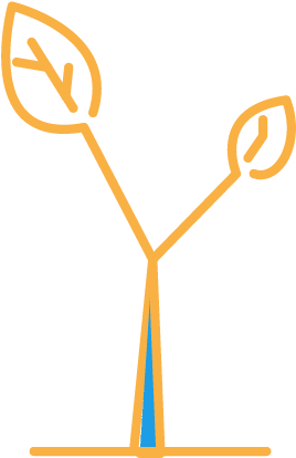 212 Tree Seedlings - 212 Tree Seedlings (600x600)