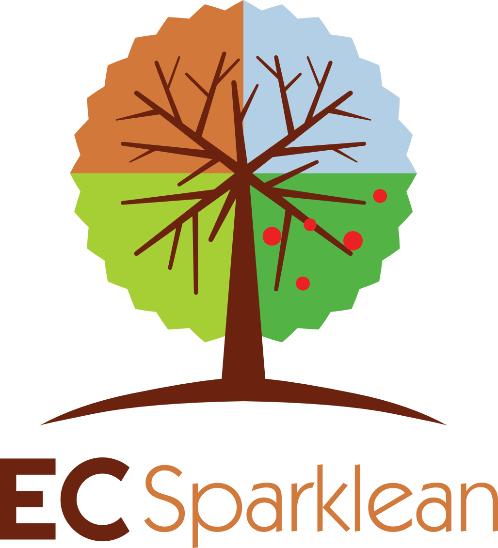 Ec Sparklean - Caml Academy (1027x1131)