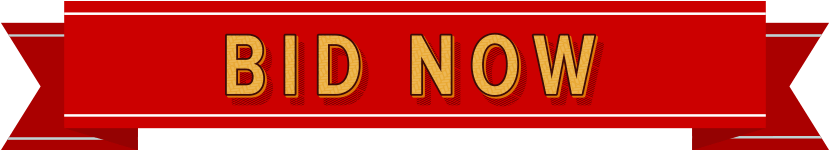 Vintage Toys & Collectibles Live Auction - Parallel (1015x183)