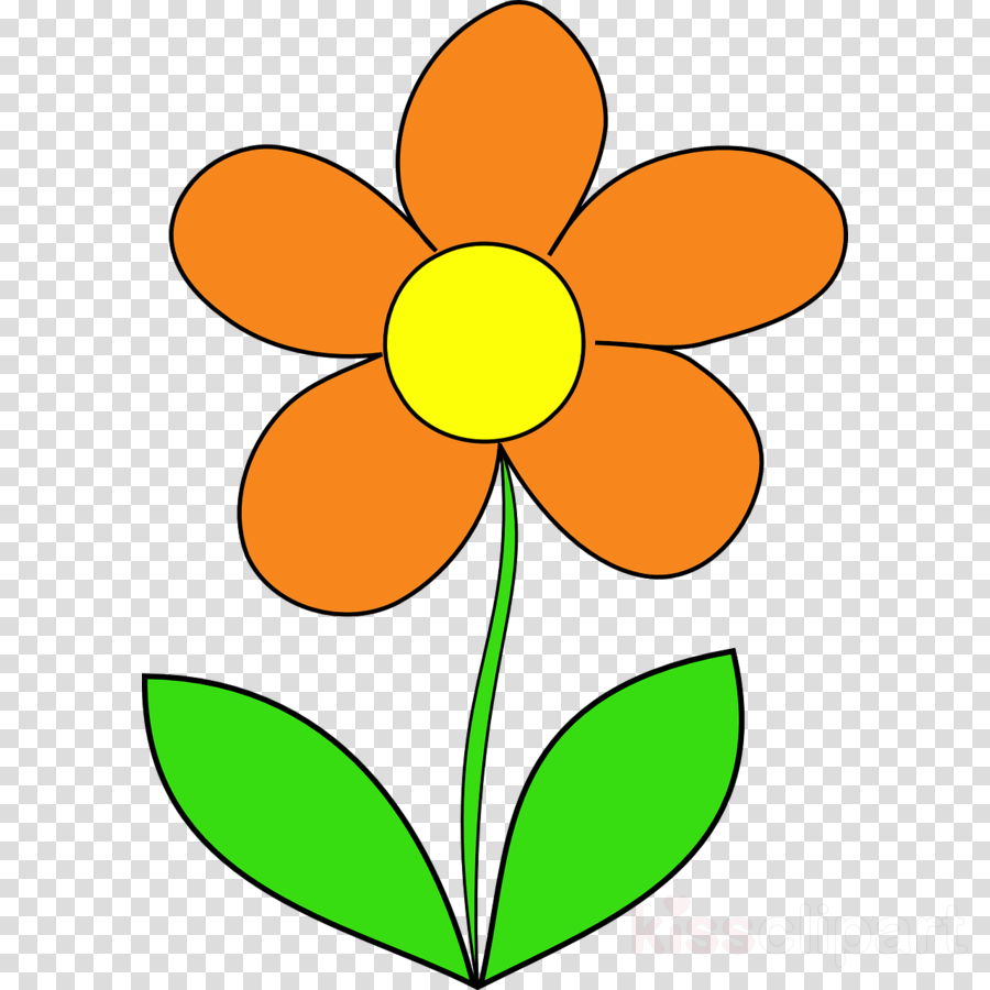 Orange Flower Clipart Orange Blossom Clip Art - Snapchat Icon For Photoshop (900x900)
