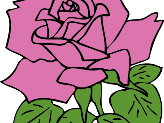 Blossom Clipart Rose - Rose Clip Art (640x480)