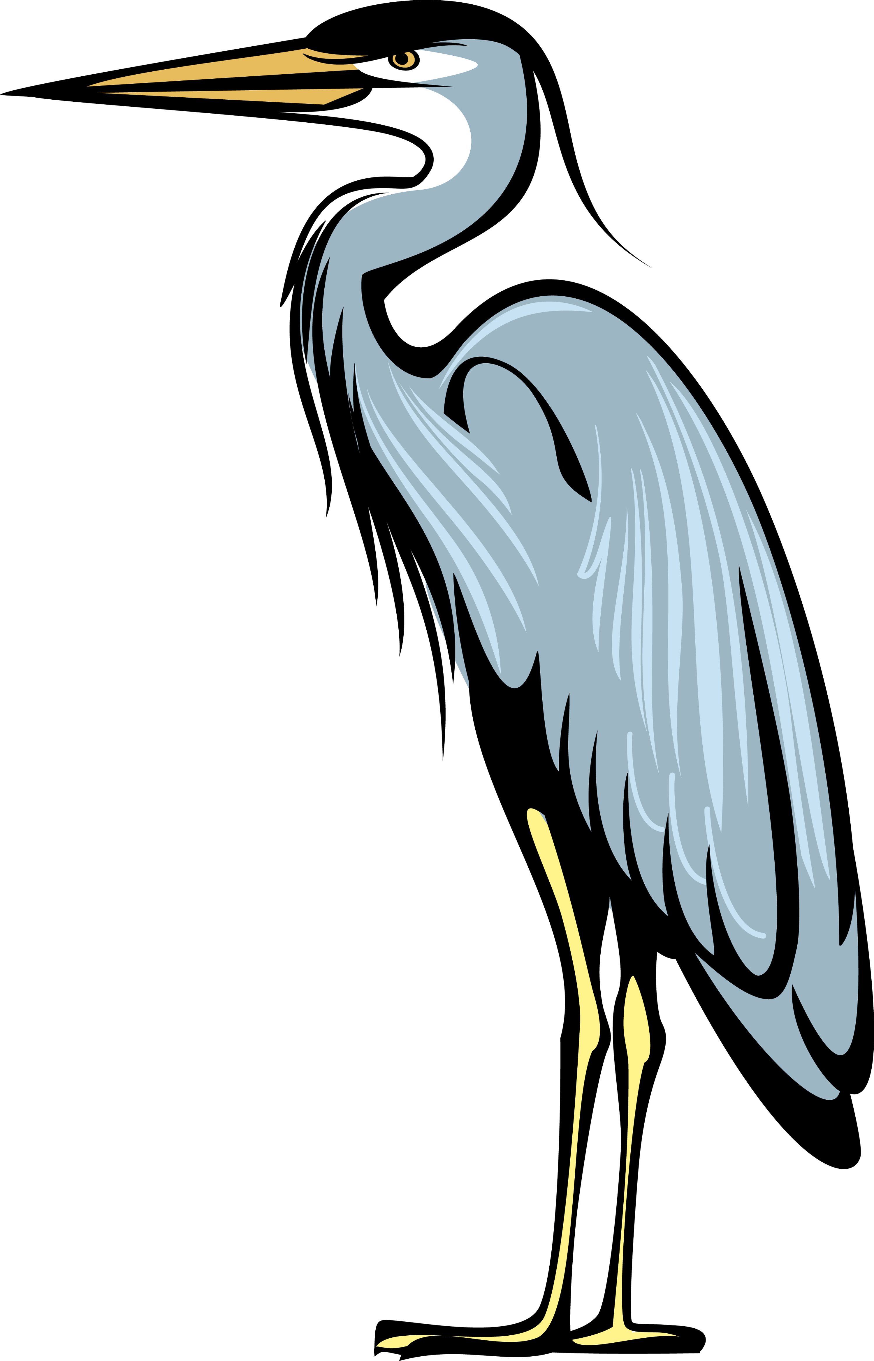 Heron - Heraldic Pelican (2999x4671)