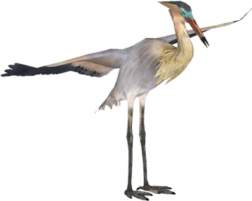 Heron Birds - Heron Png (360x360)